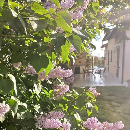 La Casa Di Tommy Cortona