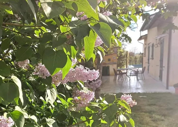 La Casa Di Tommy Кортона